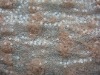 10DY11823 sequin tape on mesh fabric