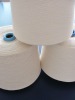 10S100% Carded  Cotton Yarn,raw White