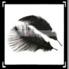 10pcs Home Decor Black Ostrich Feathers