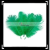 10pcs Home Decor Dark Green Ostrich Feathers