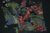 (15D+15D)*(15D+15D) printed chiffon fabric for shirt