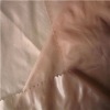 15d 380t semi dull plain oil cire nylon taffeta fabric for coat