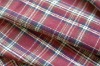 16S Cotton Double Brush Yarn Dyed Check Fabric