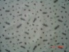 190T Taffeta Printed Fabric