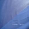 190T nylon taffeta awning fabric with PA coated (ISO9001:2000)