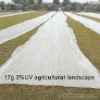 2%UV Spunbonded Agriculture nonwoven