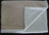 2-ply Coral Fleece Blanket