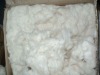 20/1 COMBED RING SPUN YARN FOR WEAVING/KNITTING