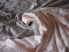 200gsm Silk Jersey Fabric