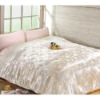2010 new series 100% cotton prited Comforter