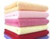 2011-2012 new style TT 009 towel
