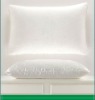2011 Antibacterial Silk function Pillow