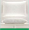 2011 Antibacterial Silk function Pillow