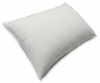 2011 Canvas Sofa Pillow