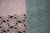 2011 FASHION LACE