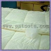 2011 Fashion Silk Comforter With Silk Floss