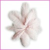 2011 Fashion wholesale rich beautiful ostrich feathers