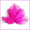 2011 Fashion wholesale rich beautiful ostrich feathers