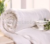 2011 Handmade Mulberry Silk Duvet