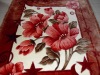 2011 Hot Sell and New Arrival Polyester Blanket