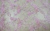 2011 JULY design fashion fabric high mesh embroidery with handwork