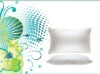 2011 Maifanshi Function Pillow