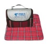 2011 Multi-functional Picnic Mat