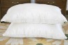 2011 New Handmade 100% Pure Silk Pillows