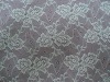 2011 New Pattern Nylon lace fabric DL-6606