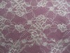 2011 New Pattern Nylon lace fabric DL-6619