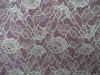2011 New Pattern Nylon lace fabric DL-6650