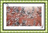 2011 New design 100% polyester embroidery fabric