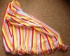 2011 New style high quality picnic blanket SWANY-09