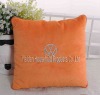 2011 Promotional Pillow gift