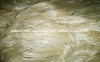 2011 Sisal Fiber