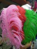 2011 Top new very hot selling Ostrich feather extensions for hair extensions(BD-11082503)