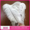 2011 fashion ostrich feather