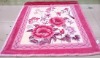2011 high quality 100% polyester printed blanket