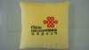 2011 home decor cushion(H-156)