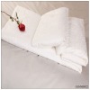 2011 hot-sale top 100% summer mulberry silk duvet with cotton shell