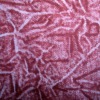 2011 latest cowboy style printing fabric for underwear,swimwear and garments