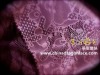 2011 latest lace nylon lace for ladies