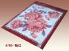 2011 new design, super hot, super soft, raschel quality blanket