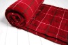 2011 new fashion 100%polyester print coral fleece thick blanket