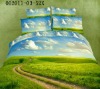 2011 new model bedding set