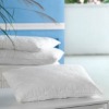 2011 new promotion gift & white sleeping pillow