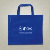 2011 pp nonwoven bag