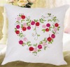 2011 spring home decoractive pillow kits