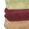 2011cheap solid color micro coral fleece hotel blankets