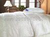 2012 100% Luxurious Muberry Silk Duvet
